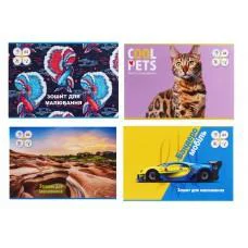 Зошит для малювання Тетрада, 16 аркушів, на скобі з перфорацією, 5 шт. в упаковці