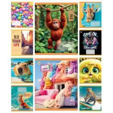 Зошити учнівські 18 аркушів клітинка Тверда Мікс 4, 20 шт. в упаковці