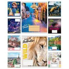 Зошити учнівські 18 аркушів клітинка 20 штук в упаковці ТЕ41205