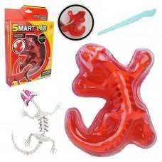 Игрушечный лабораторный набор Ящерица, 802B, скелет, внутренние органы, инструмент
