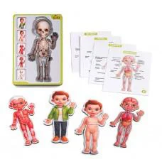 Сортер-пазл Анатомія людини Хлопчик Ubee ПСФ026