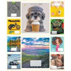 Зошити учнівські 18 аркушів лінія Люкс 12230 Мікс1, 20 шт. в упаковці