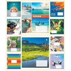 Зошити учнівські 12 аркушів лінія Тверда ТЕ22107 12ЛВ3 МІКС, 25 шт. в упаковці