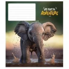 Тетради ученические "Adventure" 012-3291K-2 в клетку, 12 листов