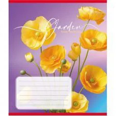 Зошит учнівський "Естетика" 024-550443K-2 в клітинку, 24 аркуші