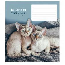 Тетради ученические "Be joyful always" 012-3263L-2 в линию, 12 листов