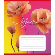 Зошит учнівський "Естетика" 024-550443K-5 в клітинку, 24 аркуші