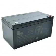 Акумуляторна батарея універсальна LONG WAY 24V7AH-BATTERY