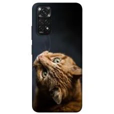 TPU чохол Demsky Рыжий кот для Xiaomi Redmi Note 11 (Global) / Note 11S